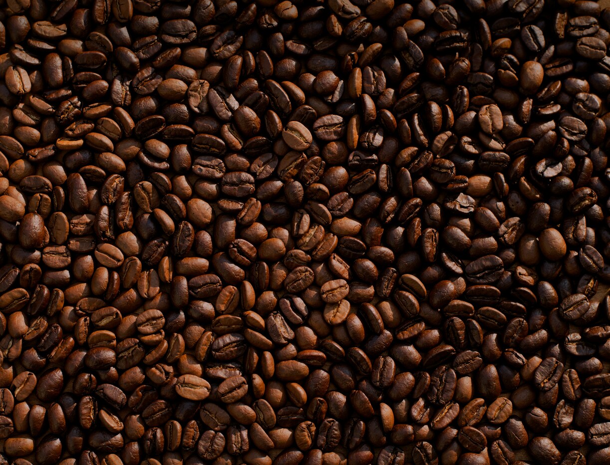 Como escolher um bom café para o dia a dia: guia prático para consumidores